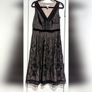 Anna Taylor LOFT Vintage Inspired Sheer Beaded Dress Size 8